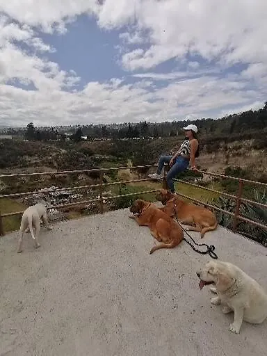 Fakali Homestay Quito Ecuador